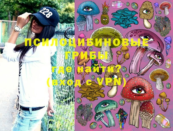 ПСИЛОЦИБИНОВЫЕ ГРИБЫ Абдулино