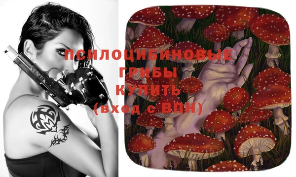 ПСИЛОЦИБИНОВЫЕ ГРИБЫ Абдулино
