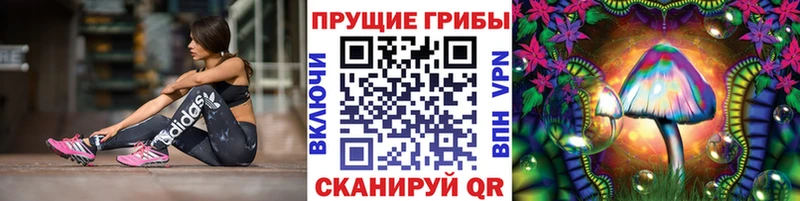 Галлюциногенные грибы GOLDEN TEACHER  Сальск 